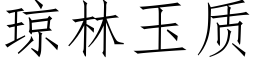 瓊林玉質 (仿宋矢量字庫)