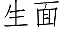 生面 (仿宋矢量字库)