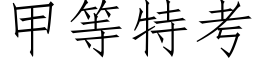 甲等特考 (仿宋矢量字庫)