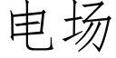 电场 (仿宋矢量字库)