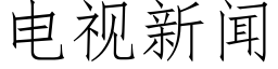 电视新闻 (仿宋矢量字库)