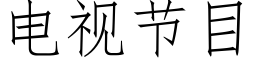 電視節目 (仿宋矢量字庫)