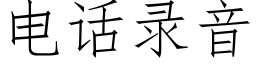 电话录音 (仿宋矢量字库)