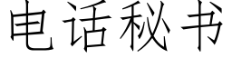 电话秘书 (仿宋矢量字库)