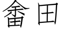 畬田 (仿宋矢量字庫)