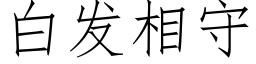 白發相守 (仿宋矢量字庫)