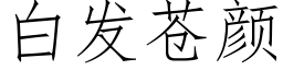 白發蒼顔 (仿宋矢量字庫)