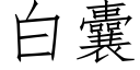 白囊 (仿宋矢量字庫)