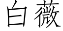 白薇 (仿宋矢量字庫)