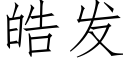 皓發 (仿宋矢量字庫)