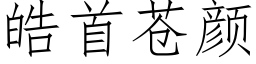 皓首蒼顔 (仿宋矢量字庫)