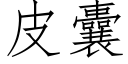 皮囊 (仿宋矢量字庫)