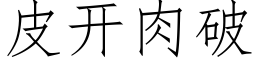 皮开肉破 (仿宋矢量字库)