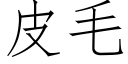 皮毛 (仿宋矢量字库)