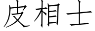 皮相士 (仿宋矢量字库)