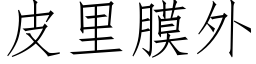 皮里膜外 (仿宋矢量字库)