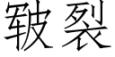 皲裂 (仿宋矢量字庫)