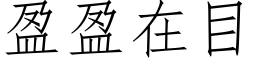 盈盈在目 (仿宋矢量字库)