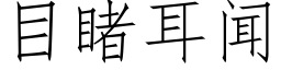 目睹耳闻 (仿宋矢量字库)