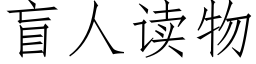 盲人讀物 (仿宋矢量字庫)