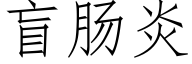 盲肠炎 (仿宋矢量字库)