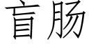 盲腸 (仿宋矢量字庫)