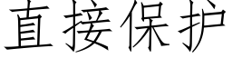 直接保护 (仿宋矢量字库)