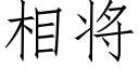 相将 (仿宋矢量字库)