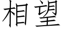 相望 (仿宋矢量字庫)