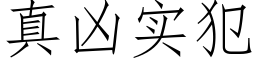 真兇實犯 (仿宋矢量字庫)