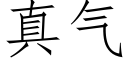 真氣 (仿宋矢量字庫)