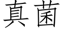 真菌 (仿宋矢量字库)