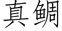 真鲷 (仿宋矢量字庫)