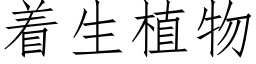 着生植物 (仿宋矢量字庫)