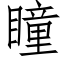 瞳 (仿宋矢量字庫)