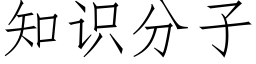 知识分子 (仿宋矢量字库)