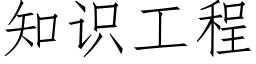 知識工程 (仿宋矢量字庫)