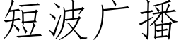 短波廣播 (仿宋矢量字庫)