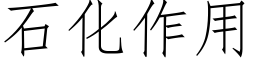 石化作用 (仿宋矢量字庫)