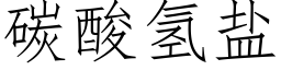 碳酸氫鹽 (仿宋矢量字庫)