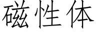 磁性体 (仿宋矢量字库)