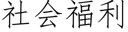 社會福利 (仿宋矢量字庫)