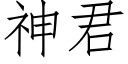 神君 (仿宋矢量字库)