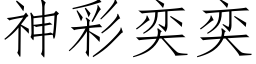 神彩奕奕 (仿宋矢量字库)