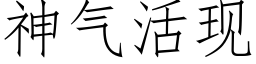 神氣活現 (仿宋矢量字庫)