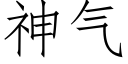 神氣 (仿宋矢量字庫)