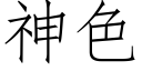 神色 (仿宋矢量字库)