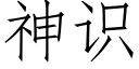 神識 (仿宋矢量字庫)