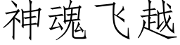 神魂飛越 (仿宋矢量字庫)