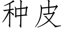 种皮 (仿宋矢量字库)